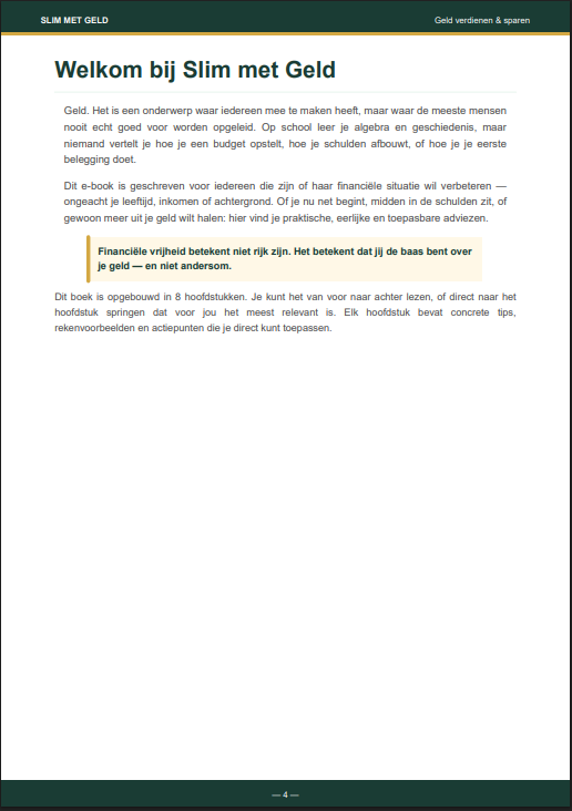 Slim met geld: complete gids voor geld verdienen & sparen- Directe download (PDF).